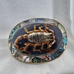 Scorpion Resin Belt Buckle with Abalone Shell SCORPIO